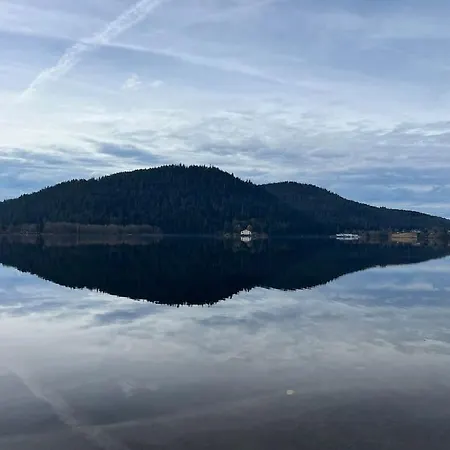 Roz - Vue Pistes Avec Terrasse * Gerardmer