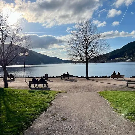Roz - Vue Pistes Avec Terrasse Gerardmer