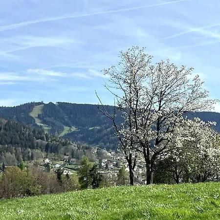 Roz - Vue Pistes Avec Terrasse