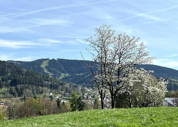 Les Deux Maisons - Roz - Vue Pistes Proche
